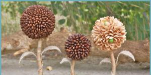 Ideas on how to make topiary from pine cones and more